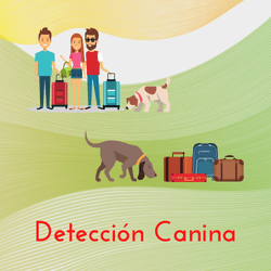 Detección canina de ocio con perros de familia