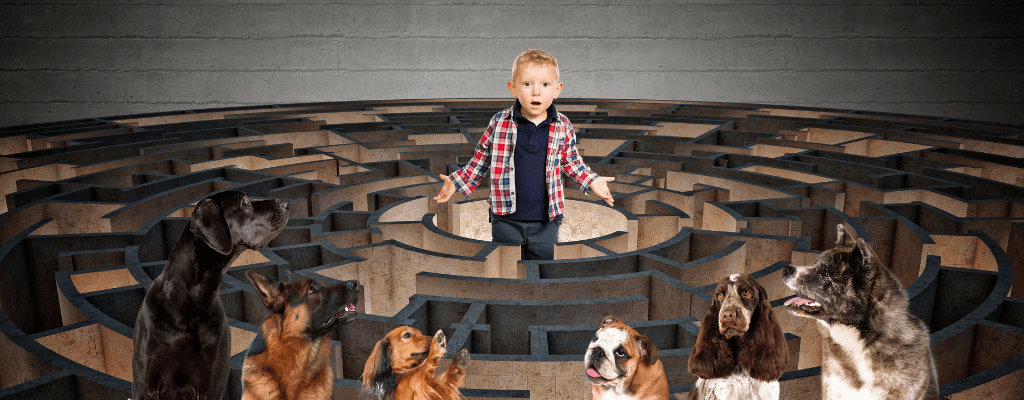 Educación Canina para el Desarrollo Sostenible