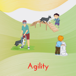 Agility de ocio con perros de familia